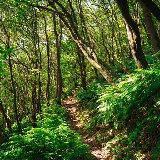 PR 5 - Vereda das Funduras