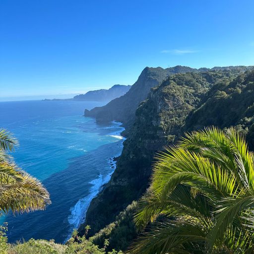 Quinta do Furão Viewpoint