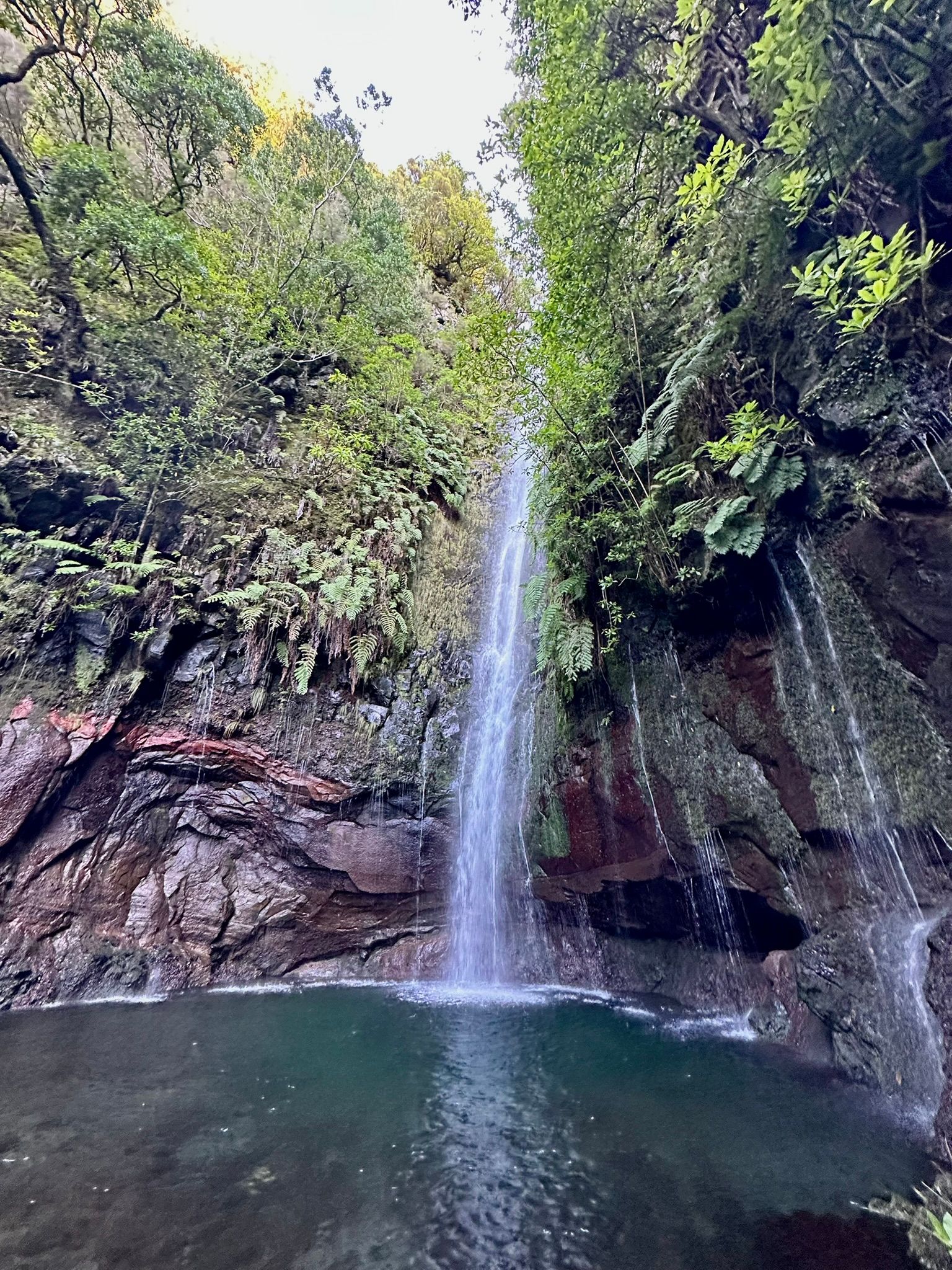 PR 6.1 - Levada do Risco