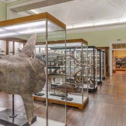 Waterline Exhibition