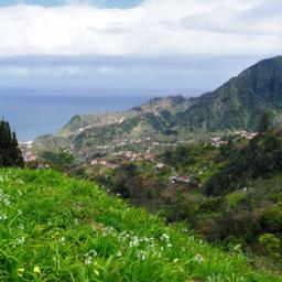 Traditional Christmas Delicacies Display