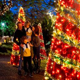 Christmas and New Year's Festivities